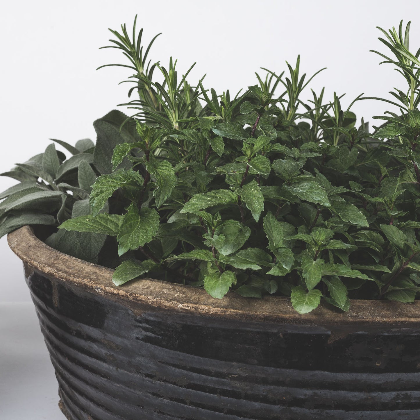 Black Glazed Planter