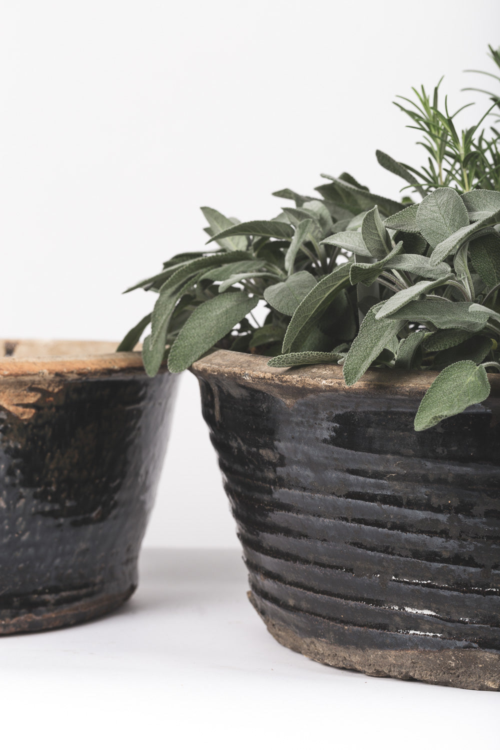 Black Glazed Planter